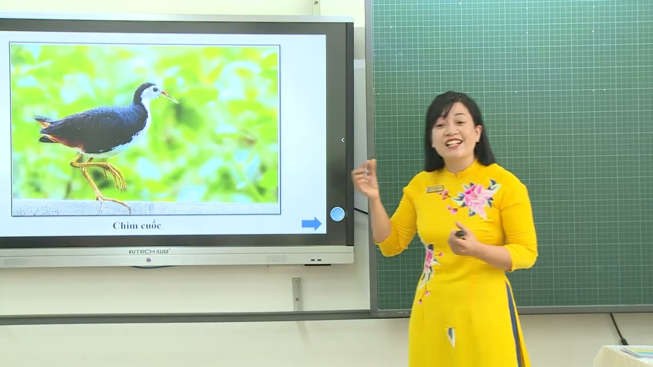 Tiếng việt 4 - Luyện từ và câu: Bài: Luyện tập về động từ ( Tuần 6)