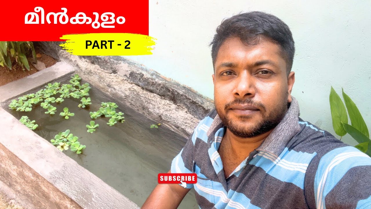 മീൻകുളം പാർട്ട് 2 | Fish Pond completed 