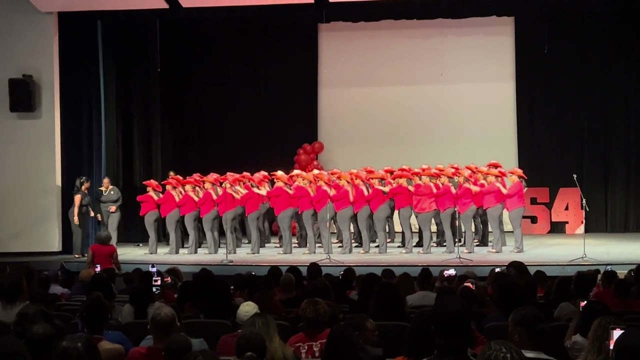 Delta Sigma Theta Spring 2024 NIP