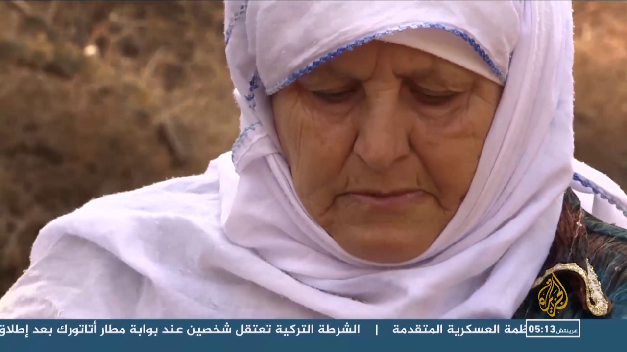 قطاف الزيتون في فلسطين.. احتفاء بالتاريخ