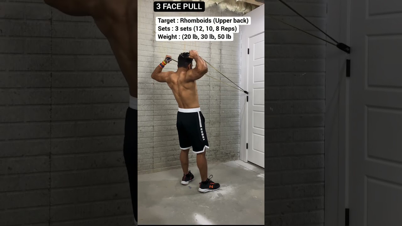 Top 6 Back Workouts with Bands (Most Effective) | Fitness My Life #shorts #youtubeshorts