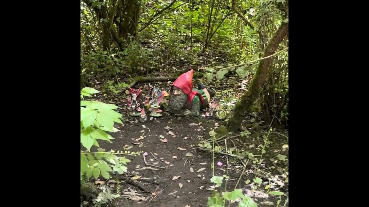 Hobbit Trail - Iverson Spit | Camano Island, WA