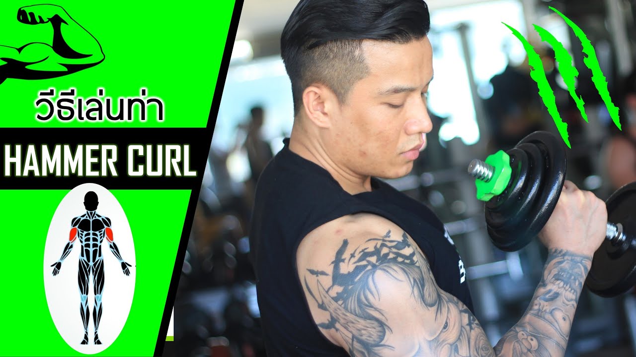 วิธีฝึกท่า Hammer Curl เล่นกล้ามหน้าแขน