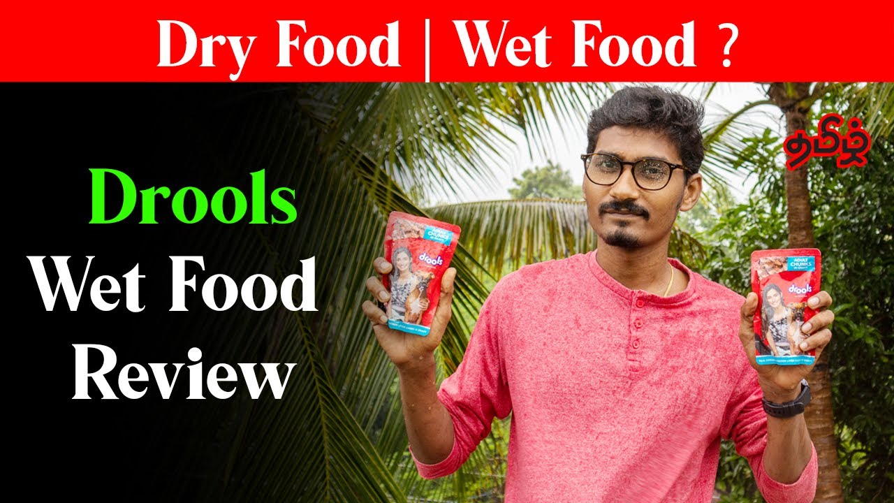 Drools Wet Food Review in Tamil