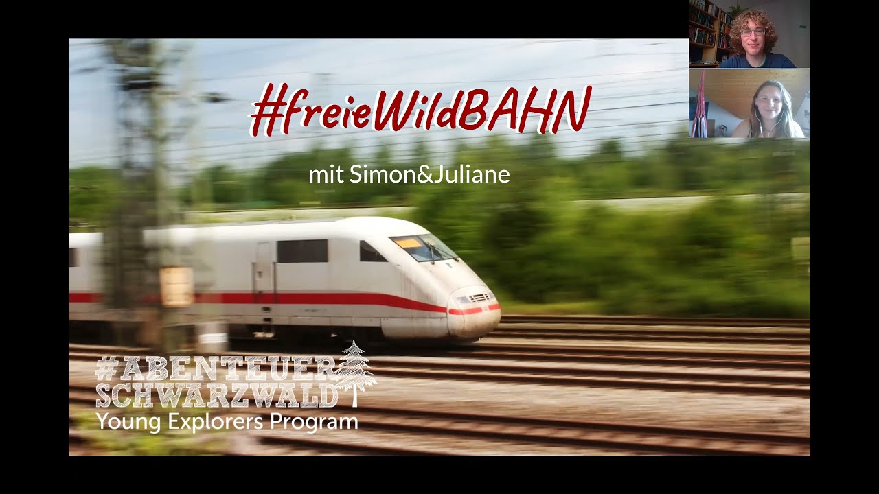 #Wirkungsprojekte - Freie WildBAHN