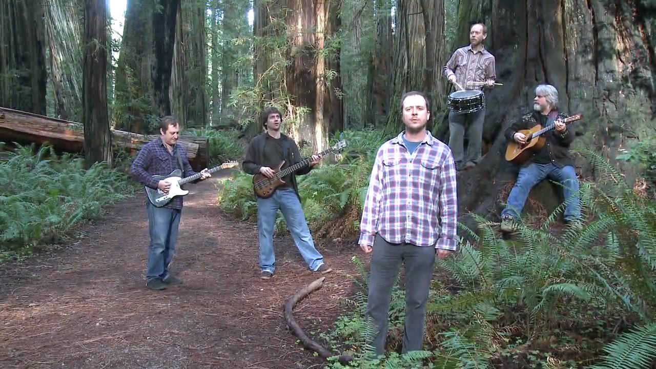 American Beauty (music video) - Great American Taxi