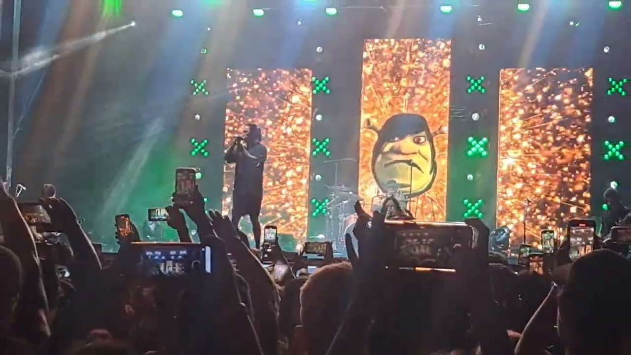 Falling in Reverse Shrek Troll