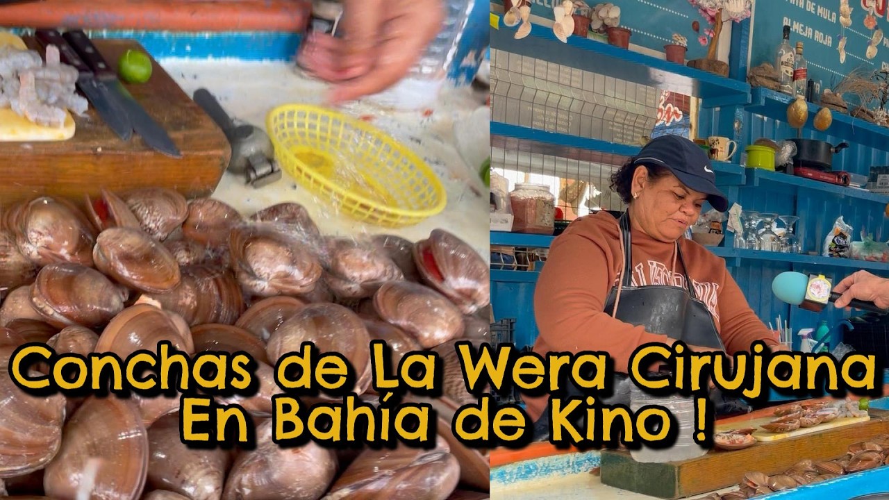 Le Fuimos a darle  la vuelta a la Wera Cirujana, Pura concha fresquesita !