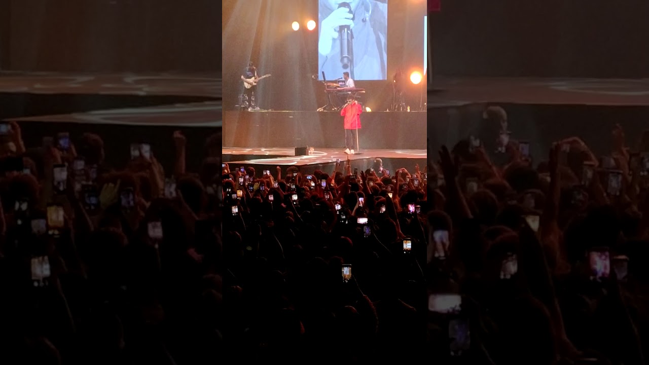 Gazzelle - Non sei tu (Live Roma Palalottomatica 28/01/2020)