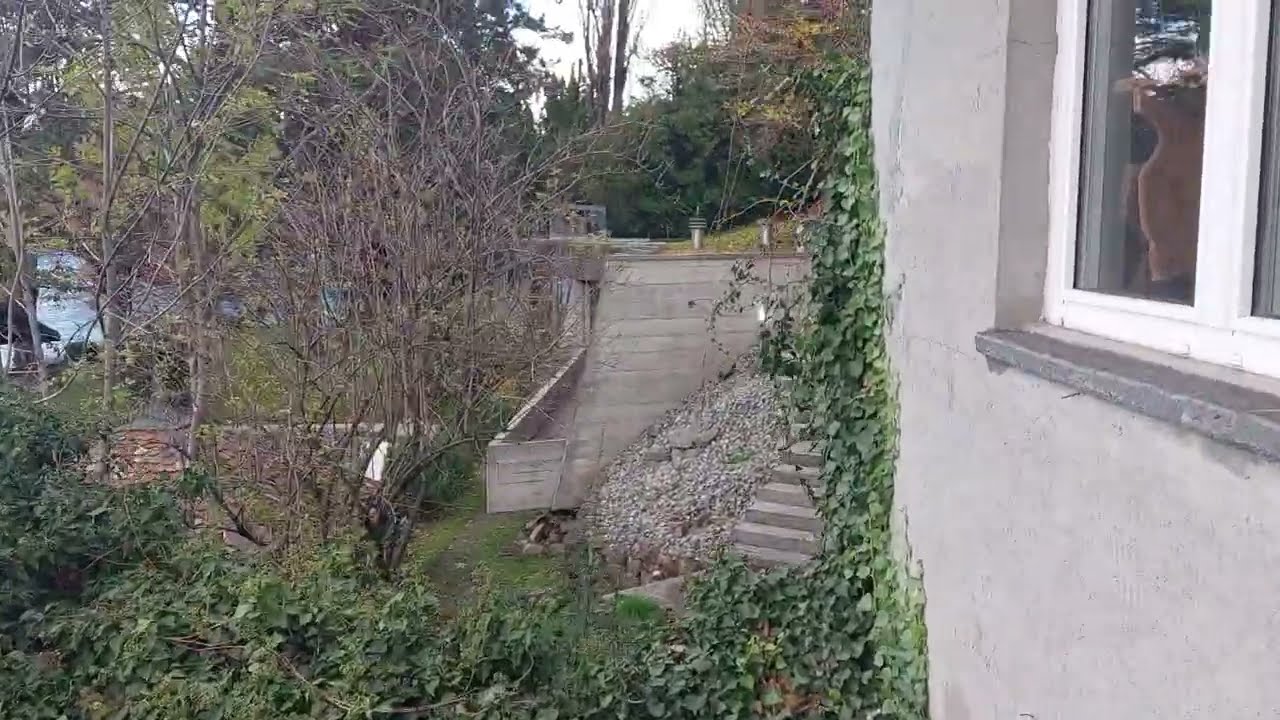 Freddie Mercury duck house in Montreux