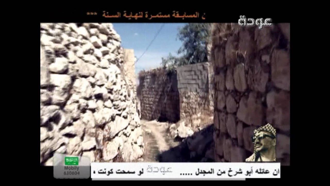 سنيريا الغالية