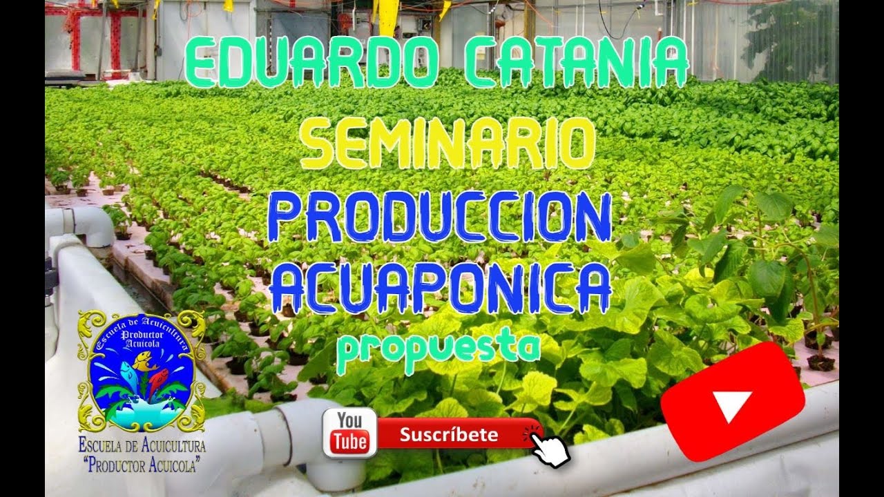 Segmento del Seminario Internacional Virtual de Hidroponia y Acuaponia por Eduardo Ruben Catania.