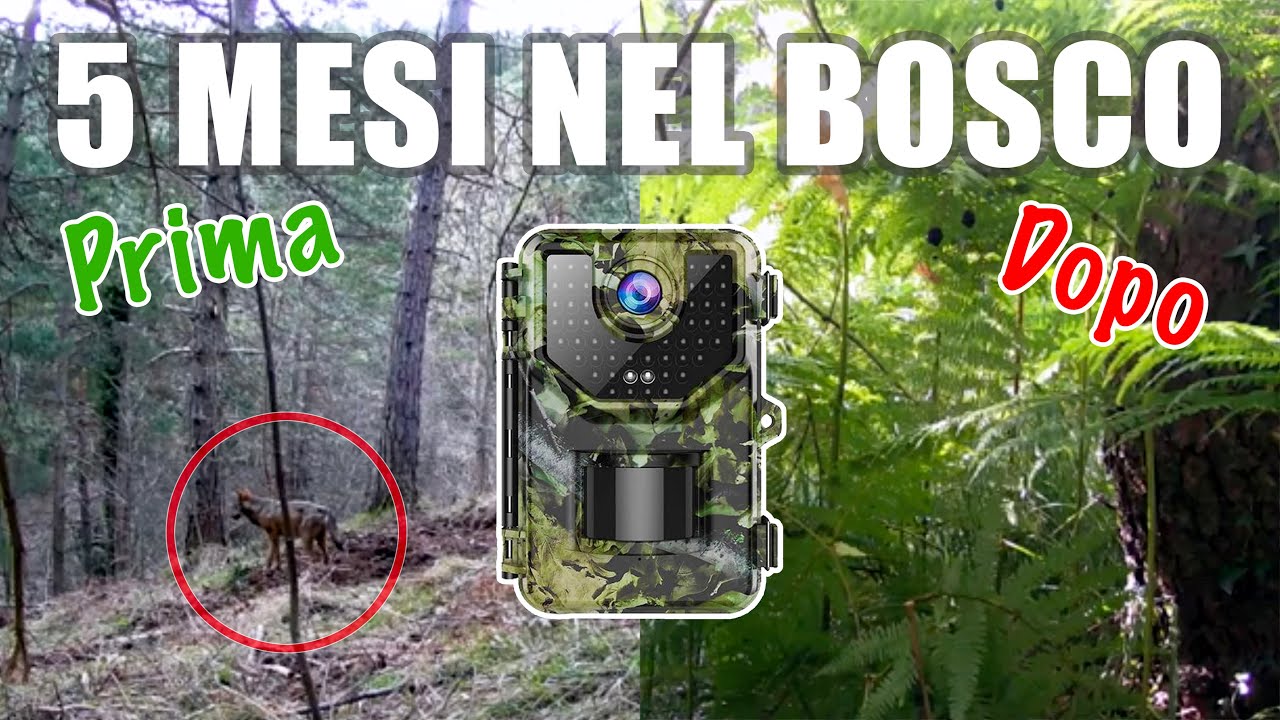 FOTOTRAPPOLA 5 mesi nel bosco!