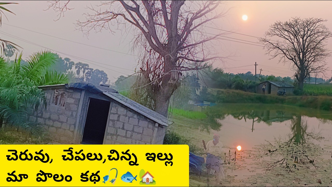 చెరువు, చేపలు, చిన్న ఇల్లు – మా పొలం కథ || 