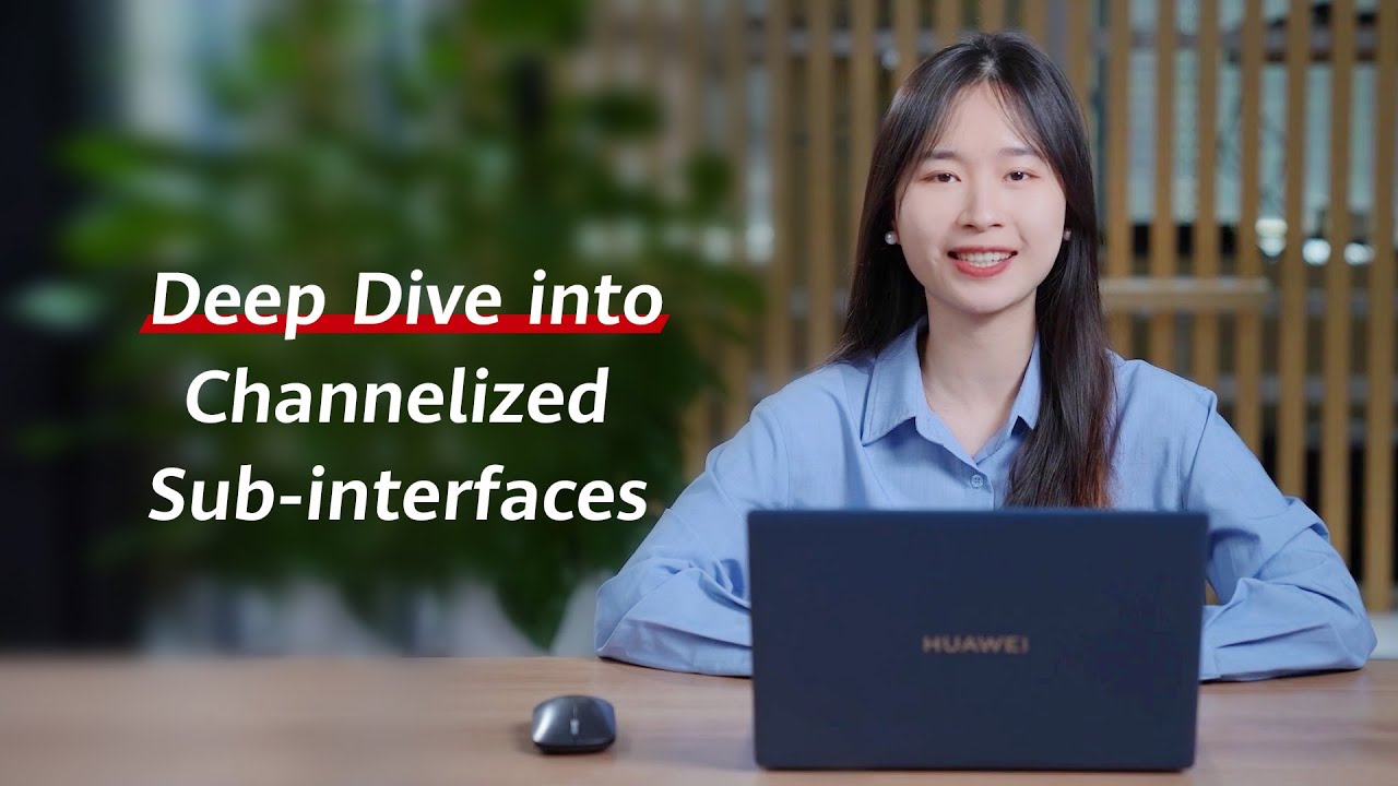 IP New Technologies Series (Advanced): Deep Dive into Channelized Sub-interfaces