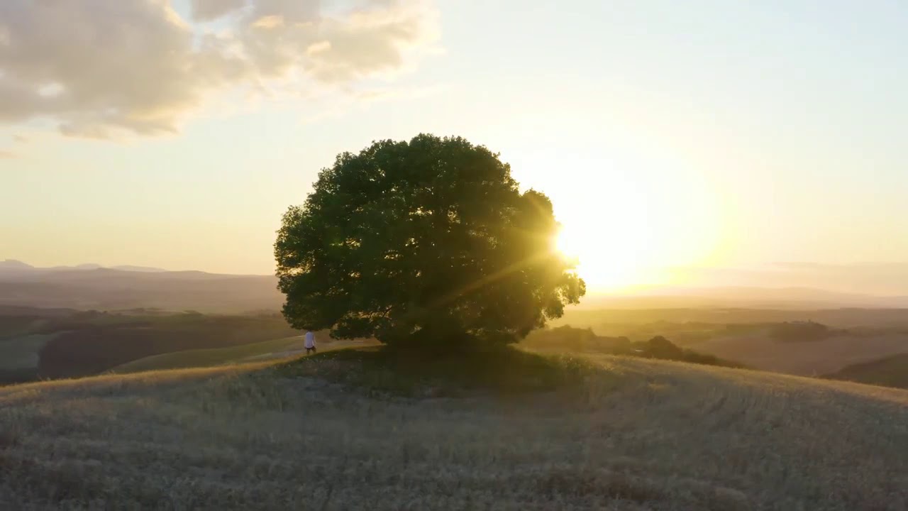 Leccio secolare della Pieve a Salti - Toscana magica