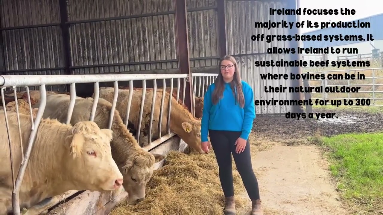 Clonaslee College Certified Irish Angus Schools Competition