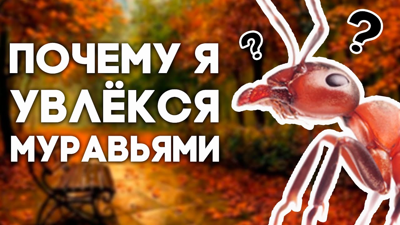 КАК Я НАЧАЛ УВЛЕКАТЬСЯ МУРАВЬЯМИ? ИСТОРИИ КИПЕРА #2. \\ Димон и пумба