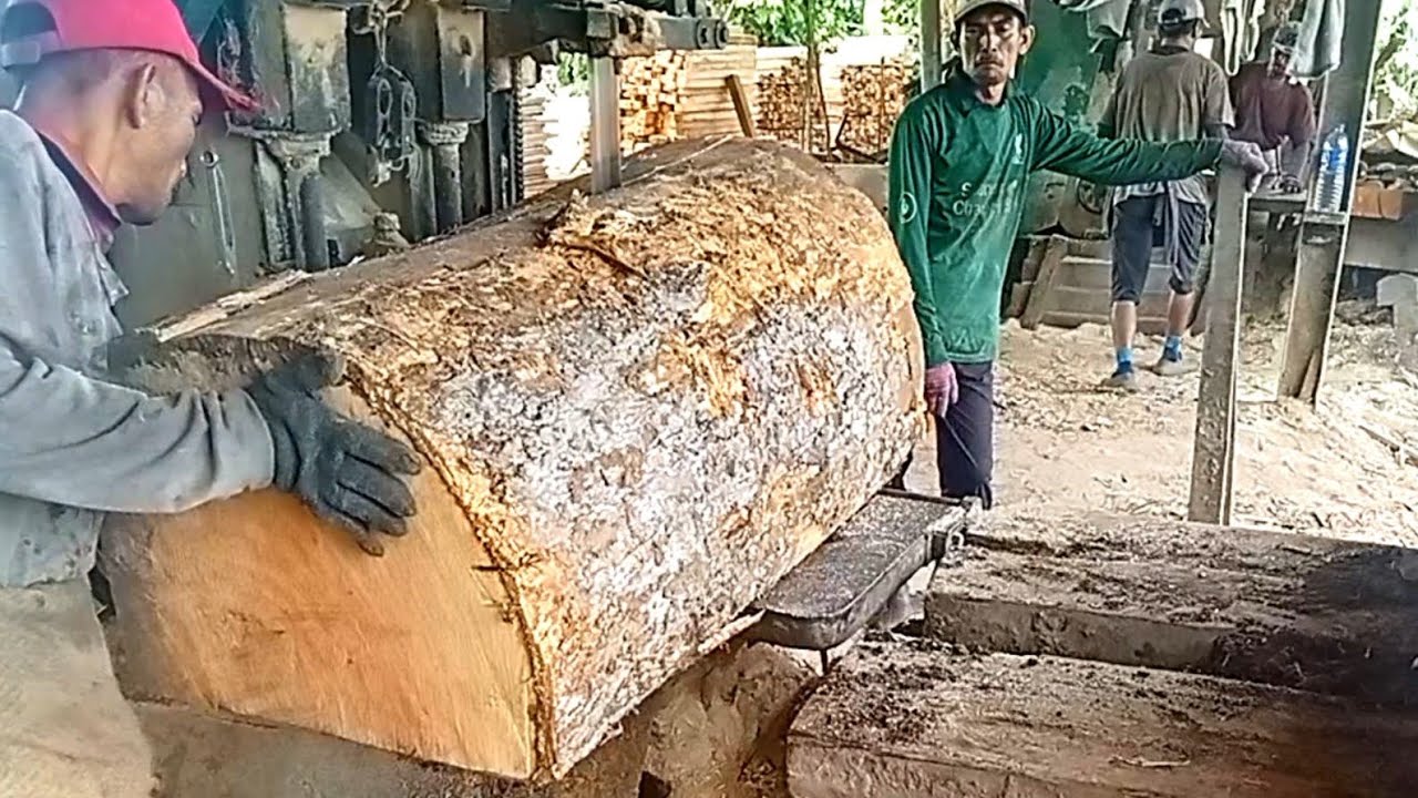 Kayu pauh dan kayu Pulai
