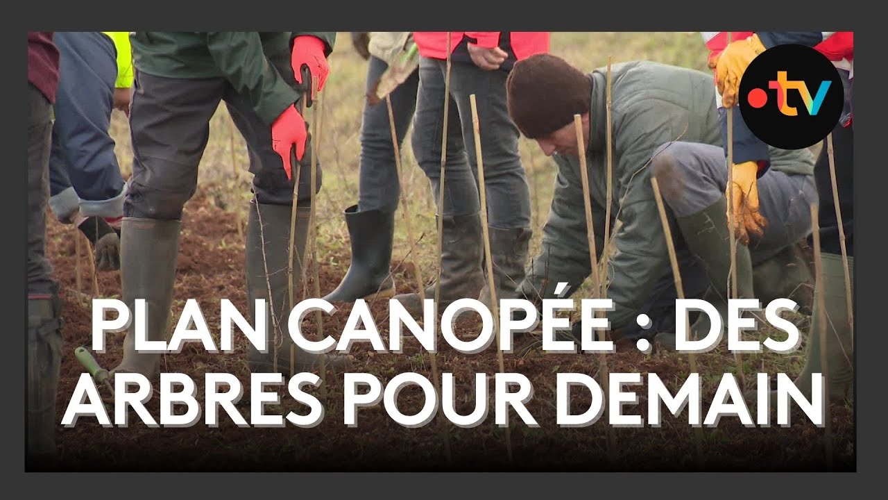 Un chantier participatif pour planter des haies et se préparer au changement climatique