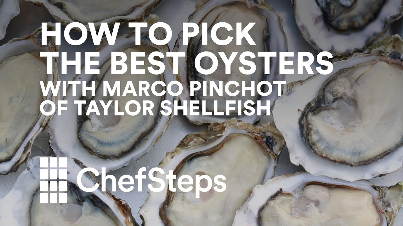 How to Pick the Best Oysters, With Marco Pinchot of Taylor Shellfish