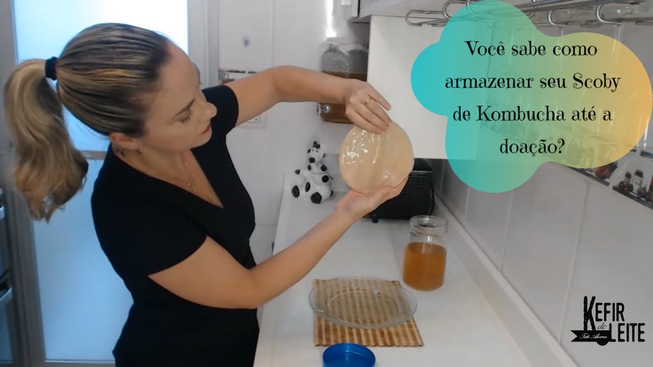 Kombucha: Como Armazenar seu Scoby