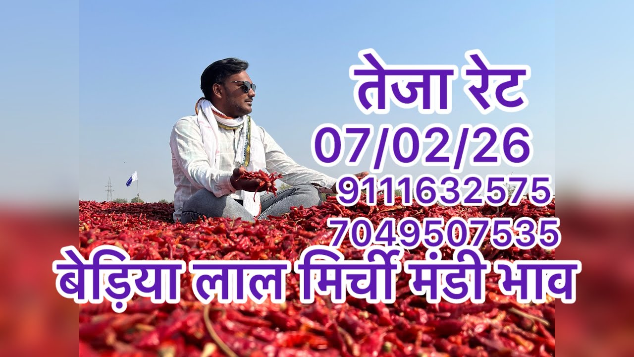बैडिया मिर्ची मंडी भाव 07/02/26 सबसे बड़ी मिर्ची मंडी भाव विश्व प्रसिद्ध मिर्ची मंडी 7240925806