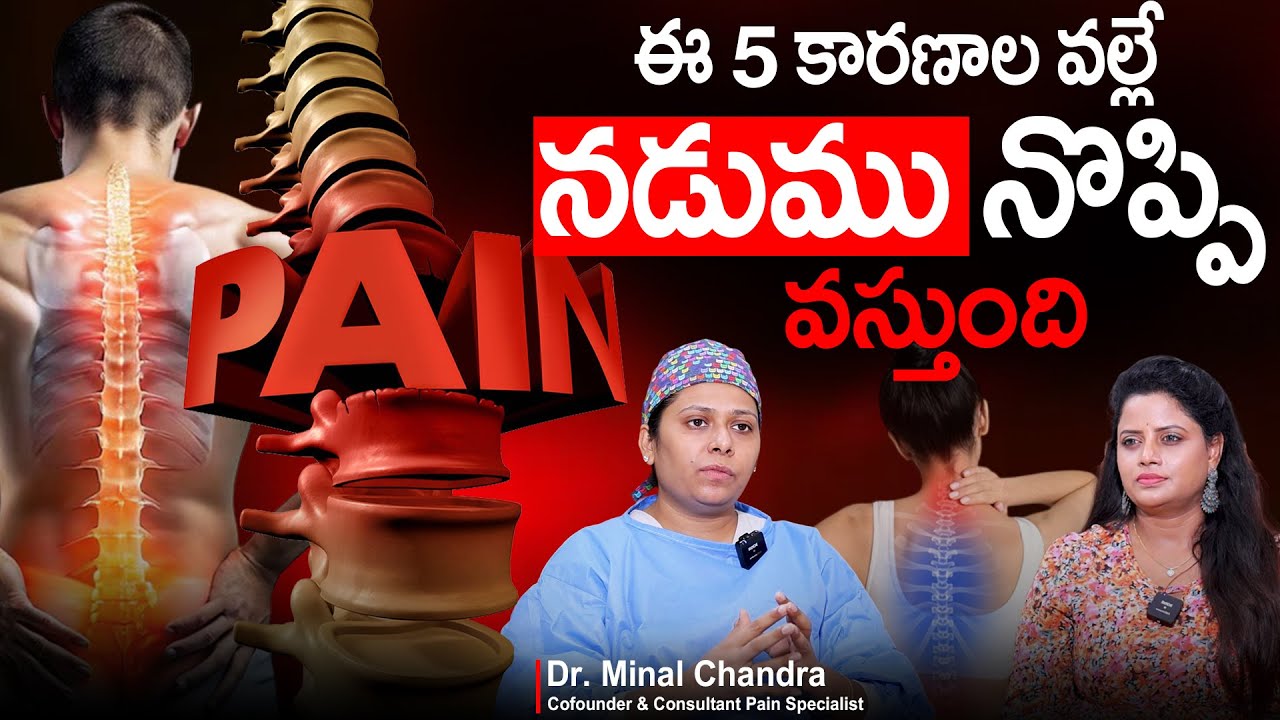 ఈ 5 Reason's వల్లే నడుము నొప్పి వస్తుంది | Back Pain | Dr. Minal Chandra | SumanTv Sujitha
