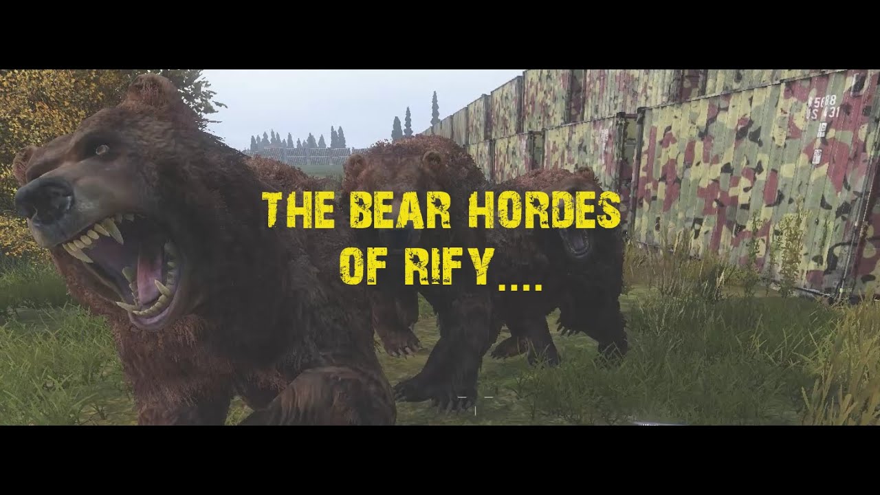 The Bear Hordes of Rify...