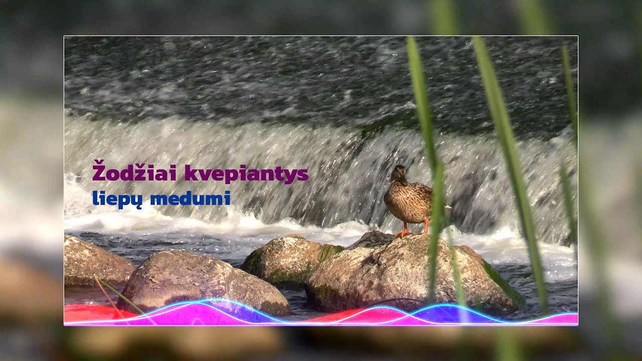 Prie malūno Viekšniuose