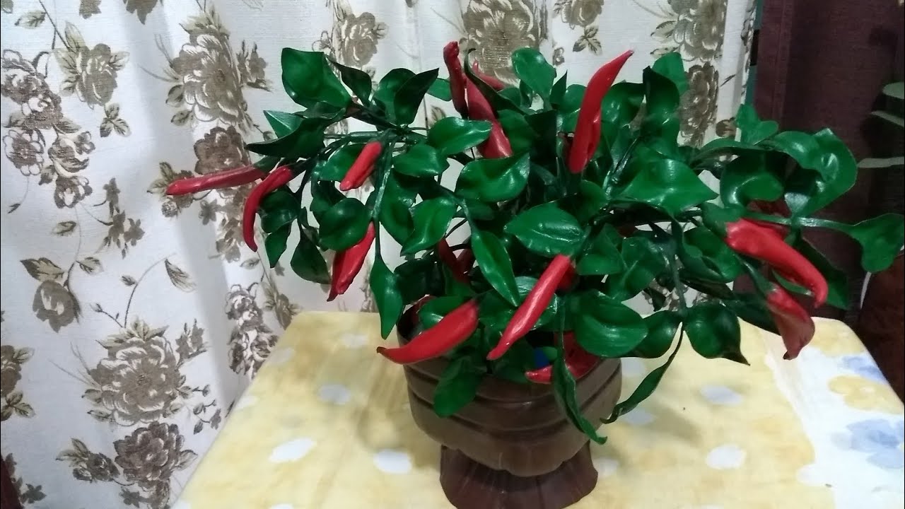Vaso de pimenta em garrafa Pet - parte 1