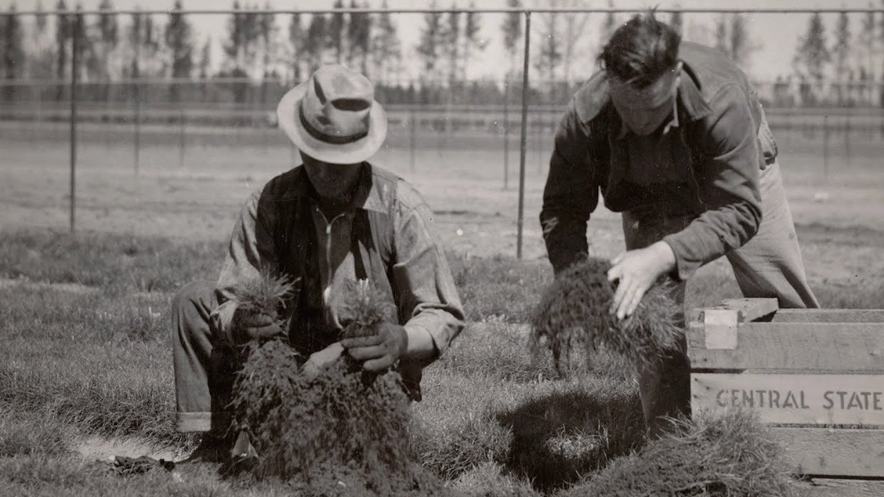 The History of Our Northern Forests
