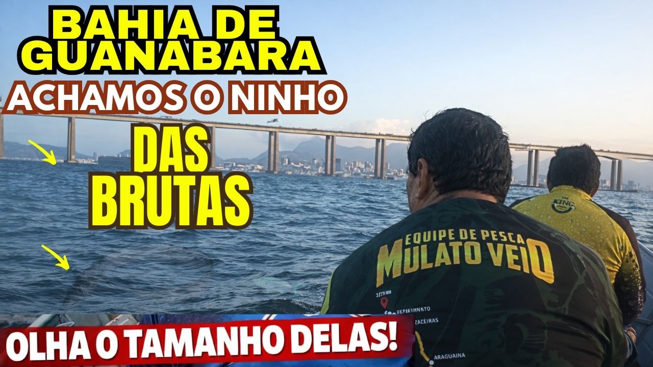 PESCA RAIZ PEIXE ESPADA BRUTA NA BAHIA DE GUANABARA
