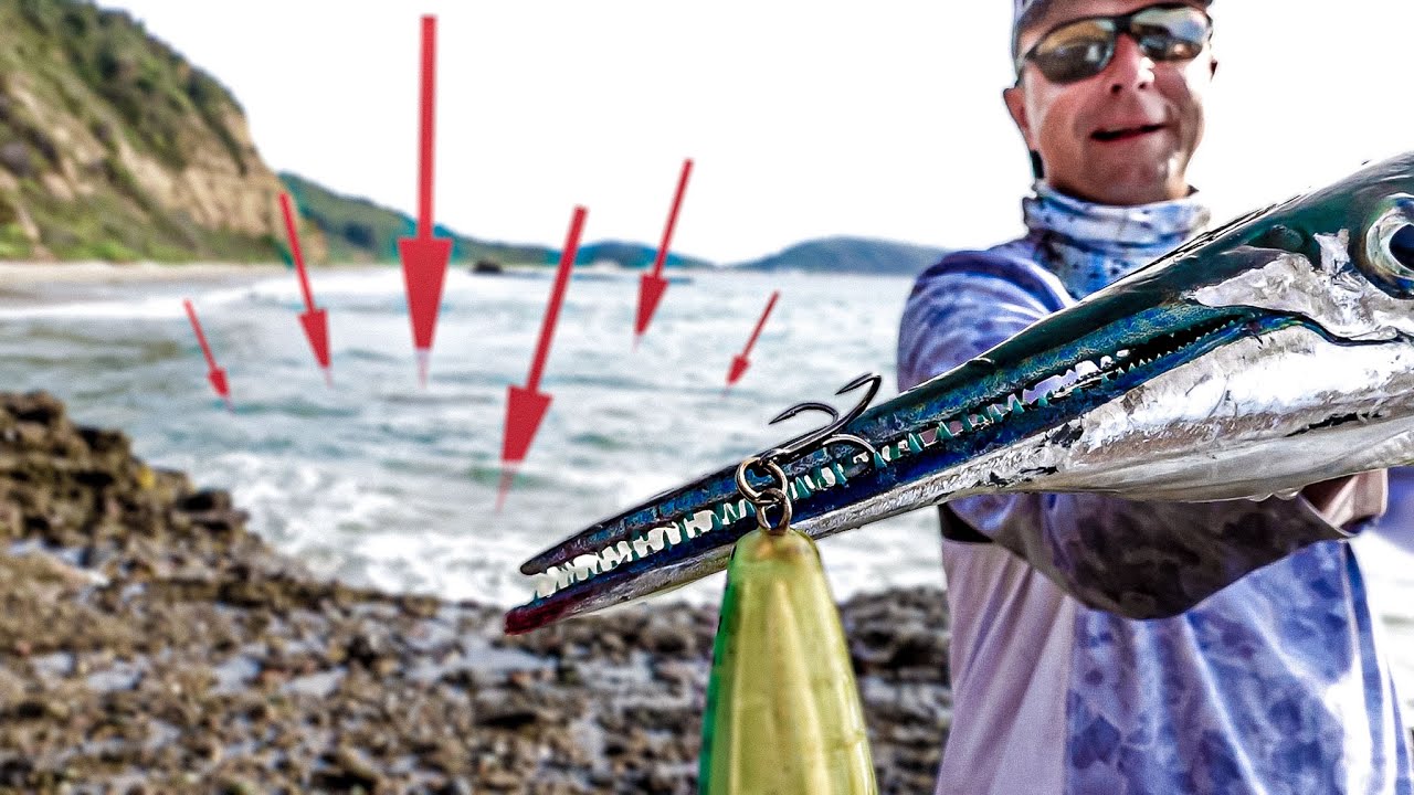 Angler fängt größten Hornhecht der Welt auf Popper! (Nicht in der Ostsee)