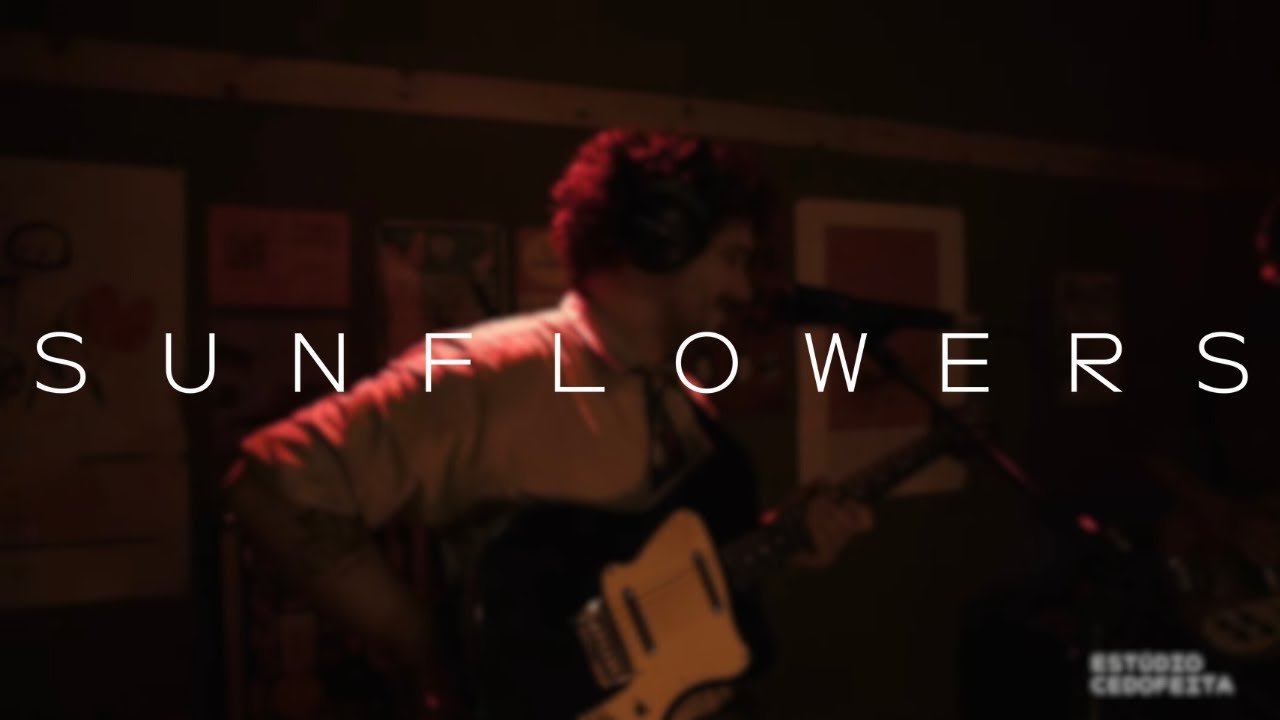 CEDOFEITA LIVE #22 | SUNFLOWERS