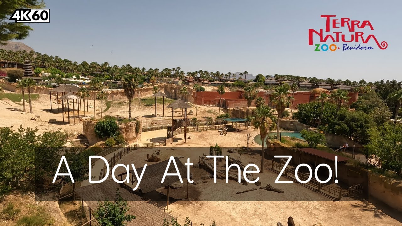 Spending the day in Terra Natura Zoo Benidorm!