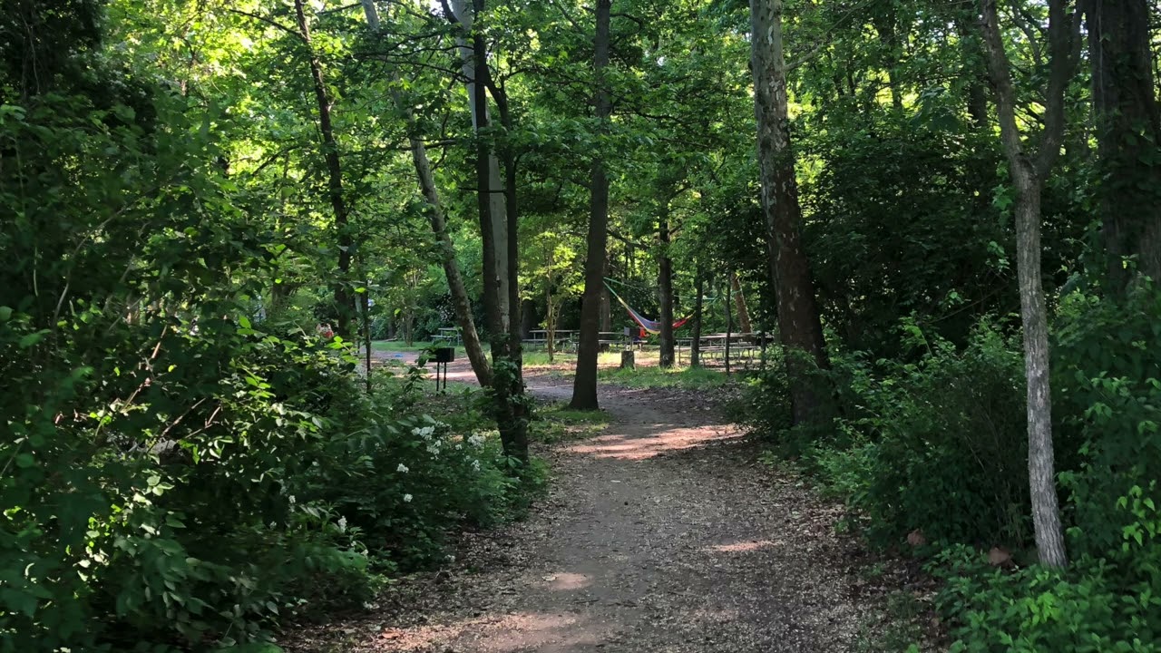 I made this beat to help you get through the day