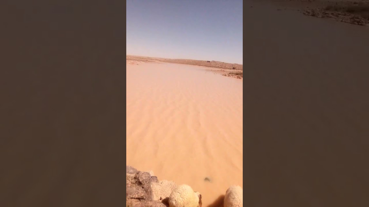 حوي تل العبد بادية دمشق