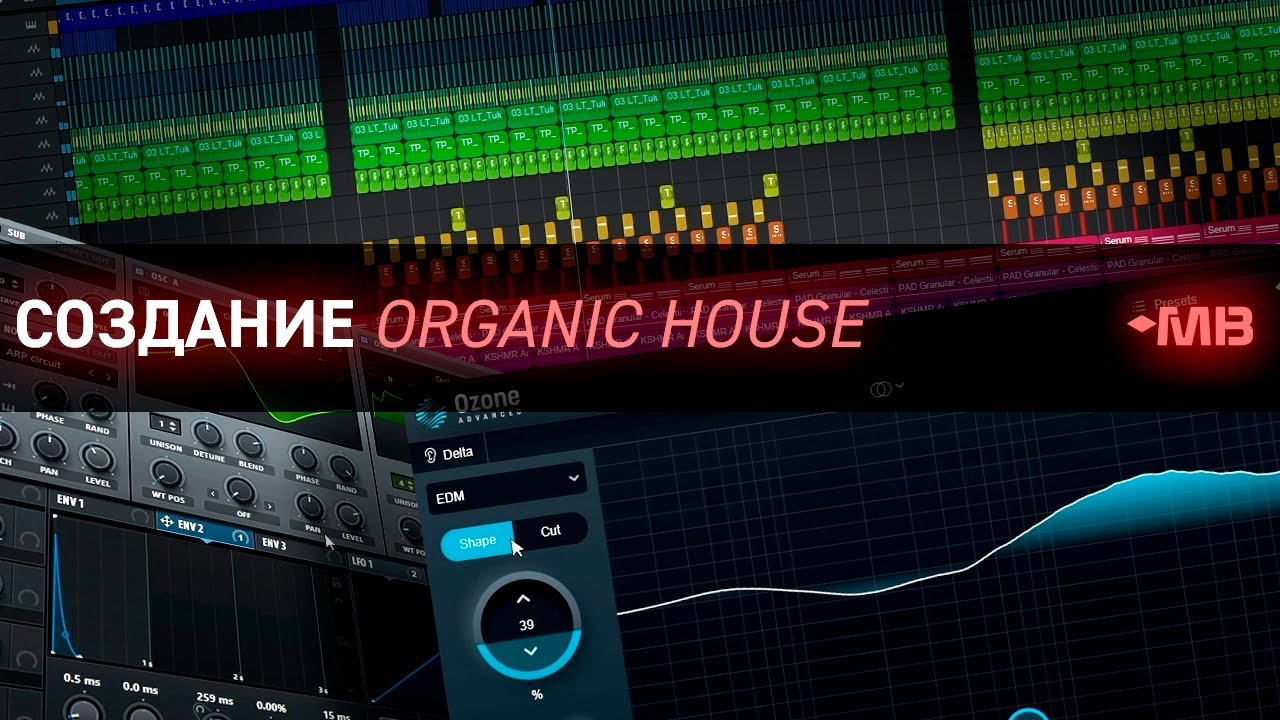 СОЗДАНИЕ ORGANIC HOUSE С НИКОЛАЕМ ВЕРГУНОВЫМ