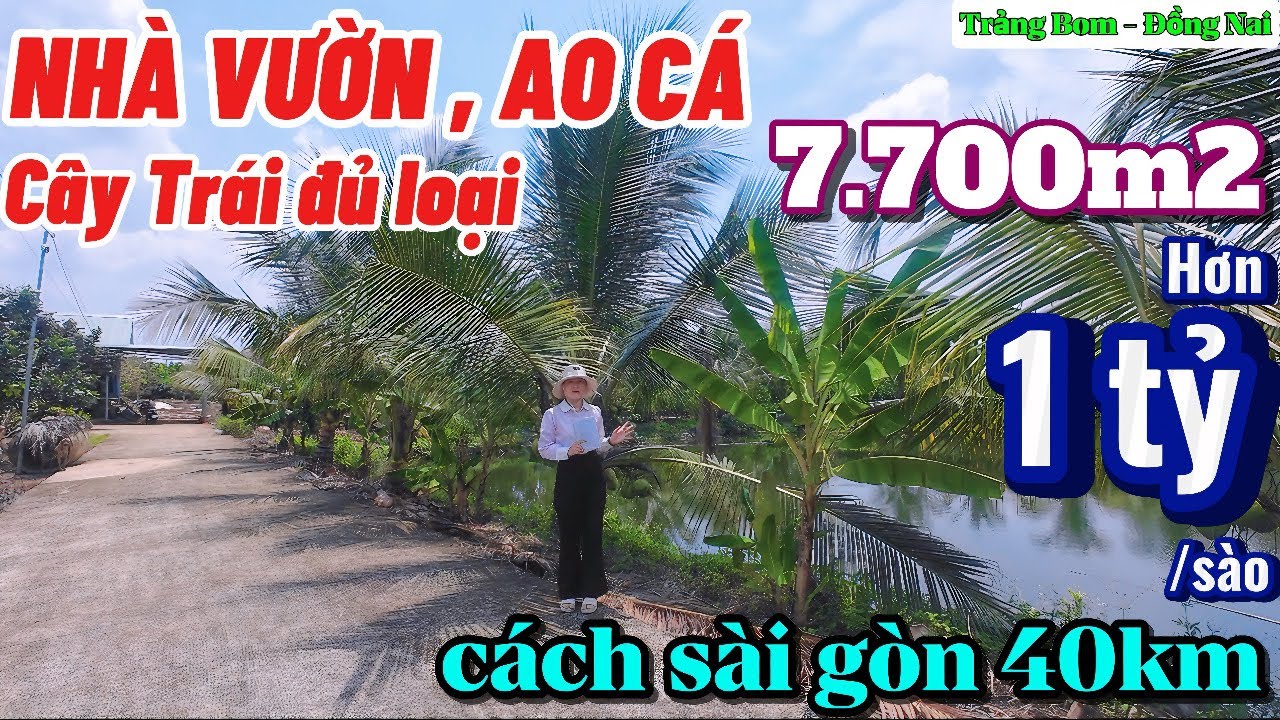 Nhà đất đồng nai, Hạ giá 1 tỷ bán nhà vườn cây trái , ao cá tâm huyết cực đẹp nhìn là thích luôn