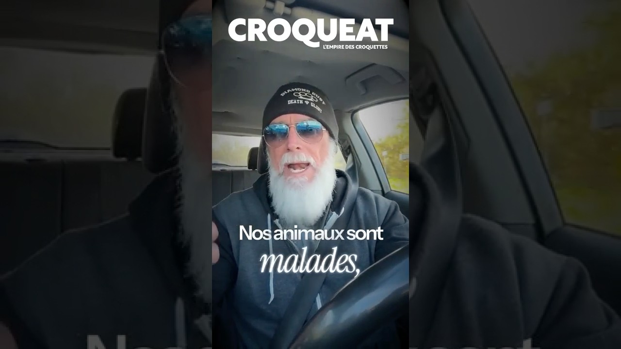 Nos animaux sont malades ! #croquettes