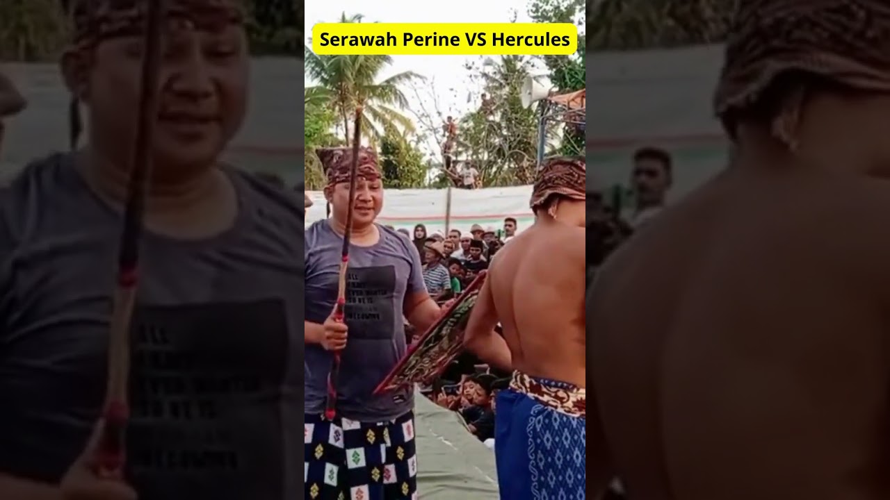 Serawah Perine VS Hercules