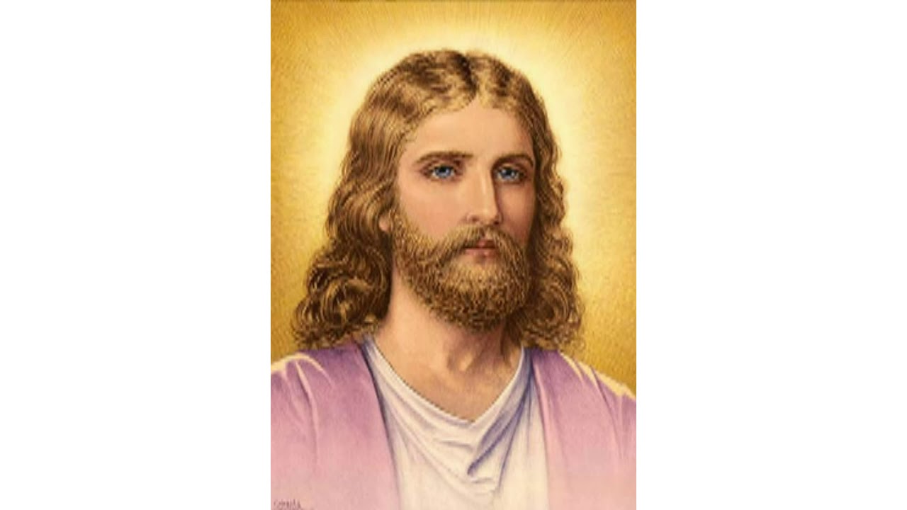Amado Señor Jesucristo