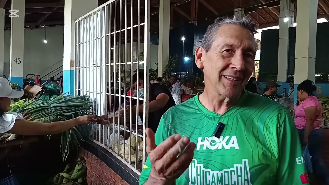 VEGANO O VEGETARIANO