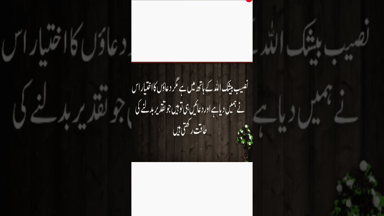 Our beautiful islam islamic hadees and islam quotes #islamicquotes #islamicstatus #islam