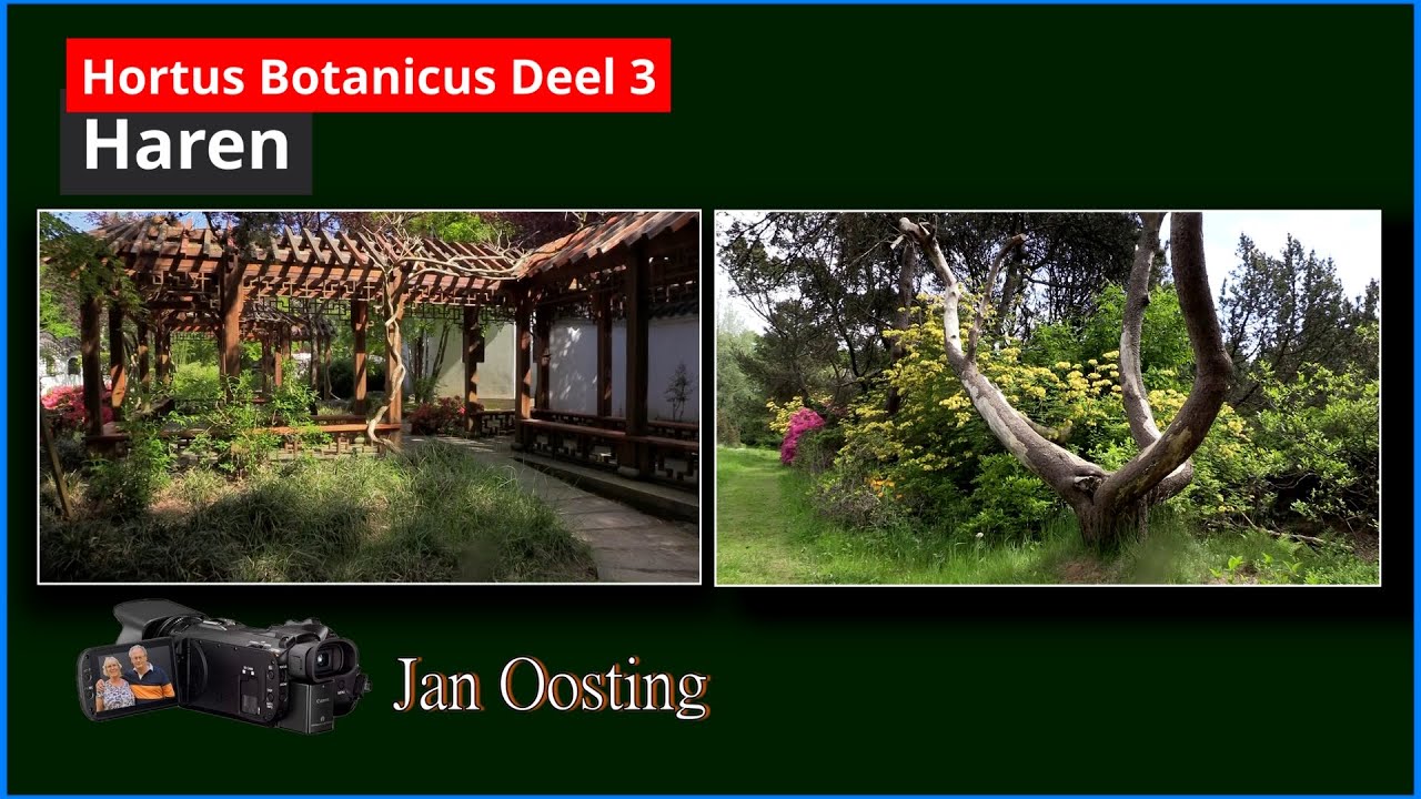 Hortus Botanicus Haren 2021 deel 3