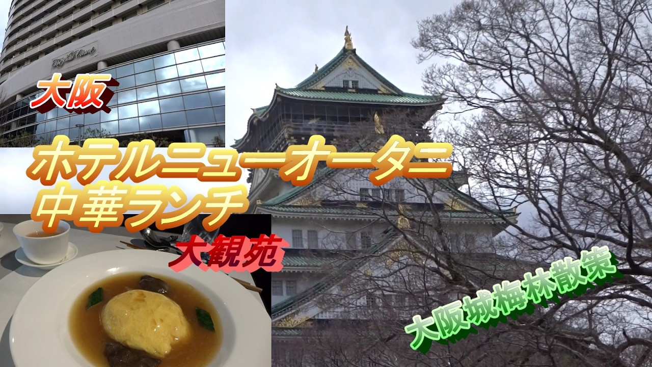 【大阪】＃ホテルニューオータニ　＃大観苑　＃大阪城梅林　ホテルの美味しい中華ランチと大阪城梅林散策