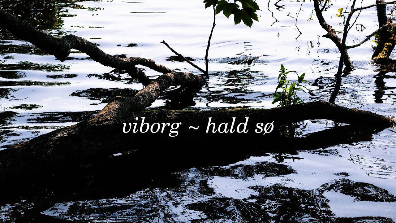 Viborg til Hald Sø (vandretur)