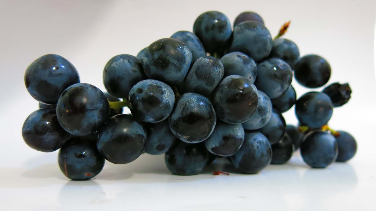 Maratheftiko Harvest