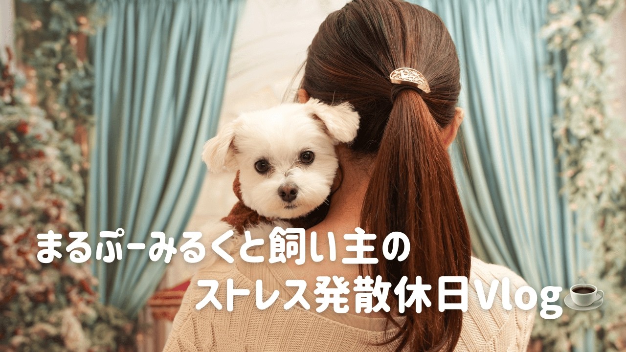 まるぷーみるくと飼い主のストレス発散休日Vlog｜カフェとドックランで楽しんできた🐻‍❄️☕